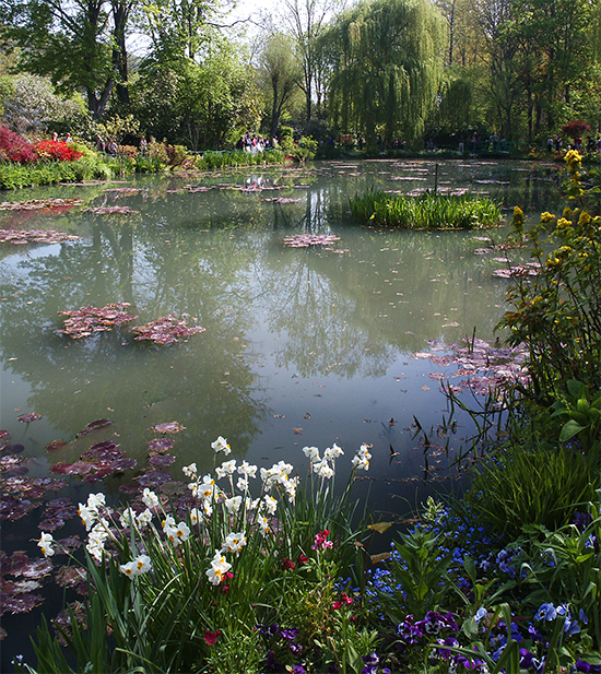 Photograph of Monet's water garden, Giverny, France, by Ann Trusty